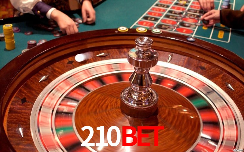 Interface Premium 210bet
